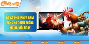 Đá gà Philipines