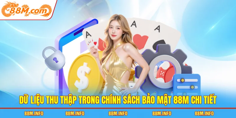 Dữ liệu thu thập trong chính sách bảo mật 88M chi tiết