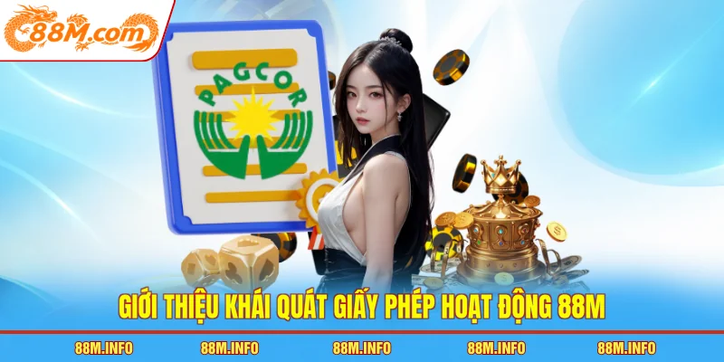 Giới thiệu khái quát giấy phép hoạt động 88M
