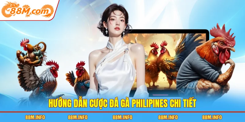 Hướng dẫn cược đá gà Philipines chi tiết